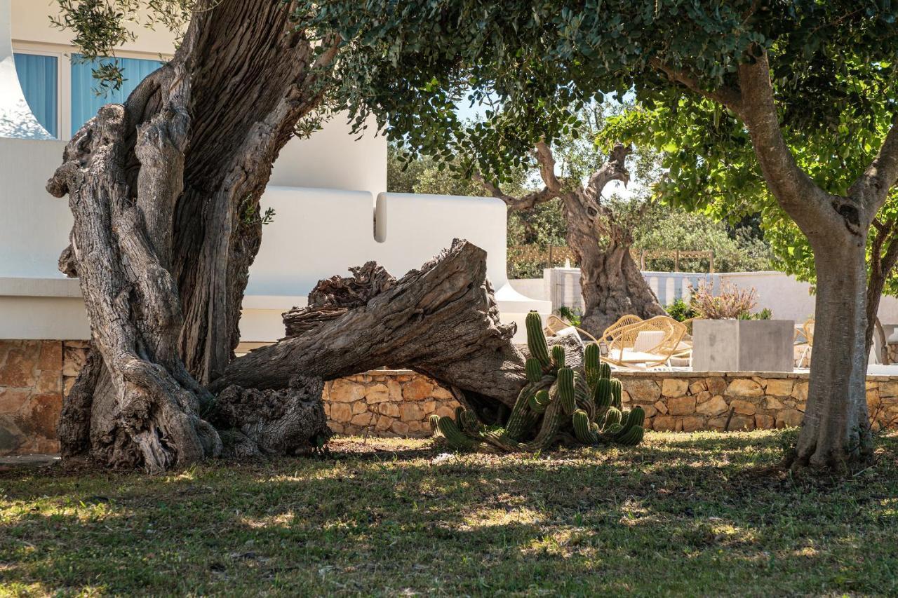 Villa Al Mare Sea, Relax & Wellness Monopoli Luaran gambar